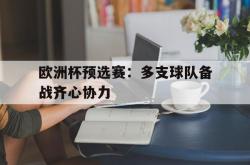 开云体育在线-包含欧洲杯预选赛：多支球队备战齐心协力的词条