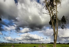 开云体育官方网站-温网逆转拉沃尔杯，德约科维奇关键制胜