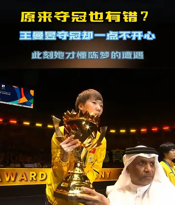 关于韩国羽毛球队逆转丹麦羽毛球队，马琳绝境逆转的信息